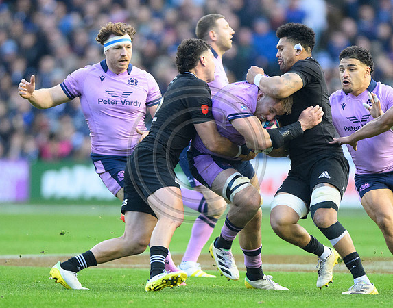 Scotland v New Zealand