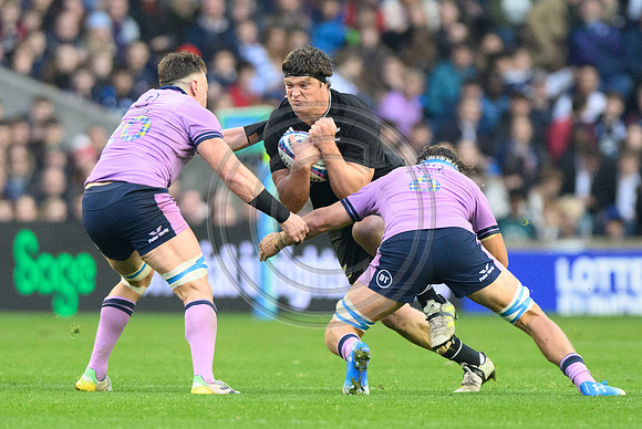 Scotland v New Zealand