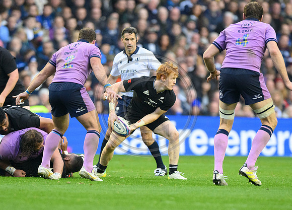 Scotland v New Zealand