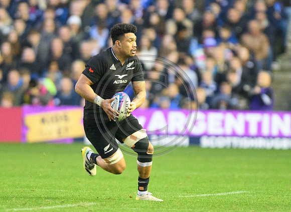 Scotland v New Zealand