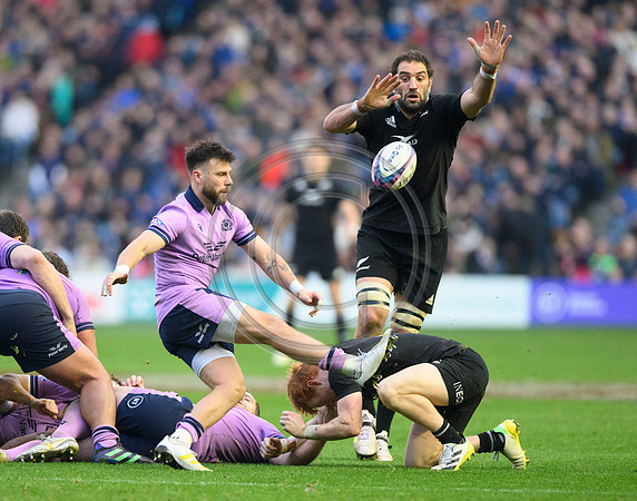 Scotland v New Zealand