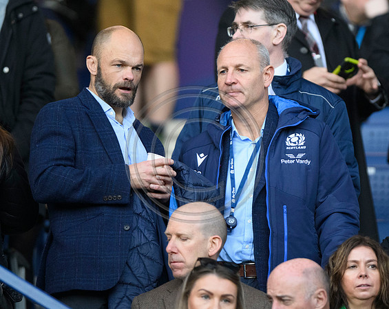 Scotland v New Zealand