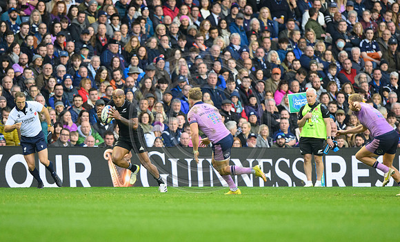 Scotland v New Zealand