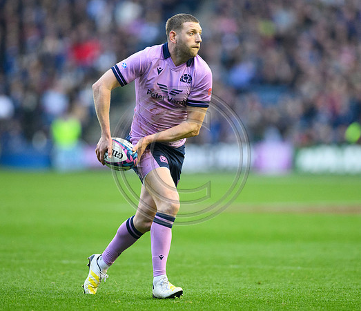 Scotland v New Zealand