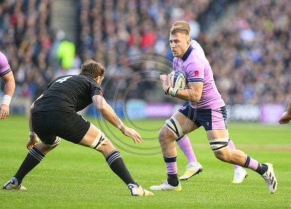 Scotland v New Zealand
