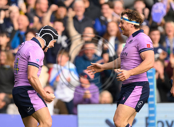 Scotland v New Zealand