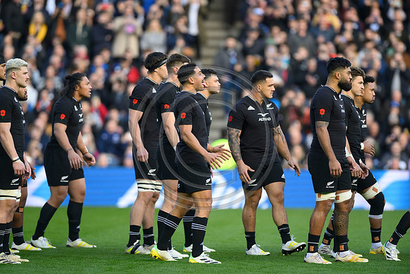 Scotland v New Zealand