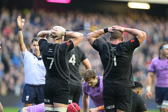 Scotland v New Zealand