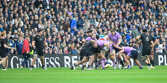 Scotland v New Zealand