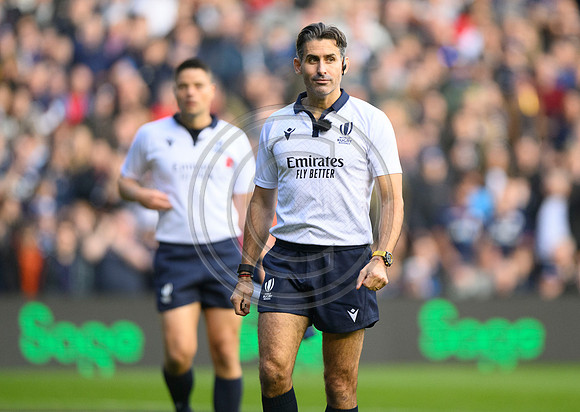 Scotland v New Zealand
