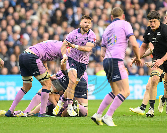 Scotland v New Zealand