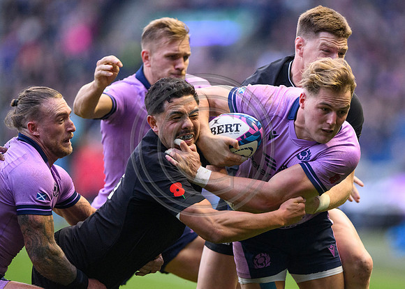 Scotland v New Zealand