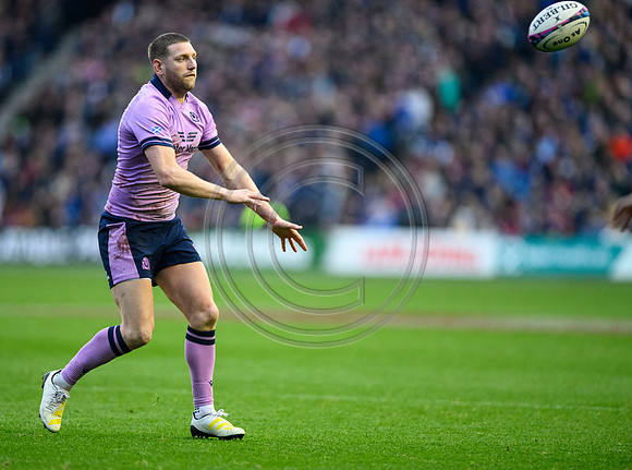 Scotland v New Zealand