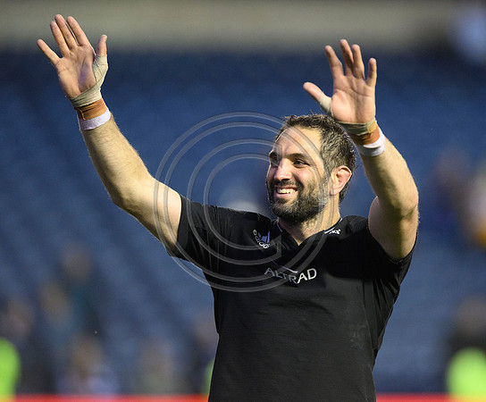 Scotland v New Zealand