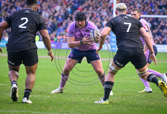 Scotland v New Zealand