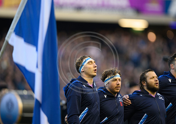 Scotland v New Zealand