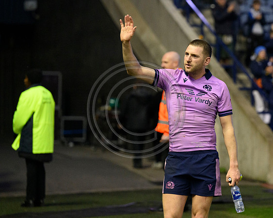 Scotland v New Zealand