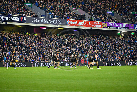 Scotland v New Zealand