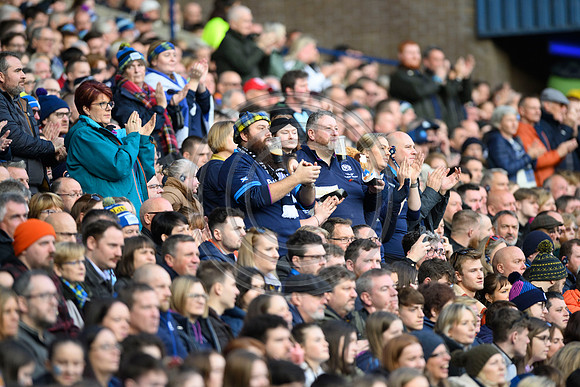 Scotland v New Zealand