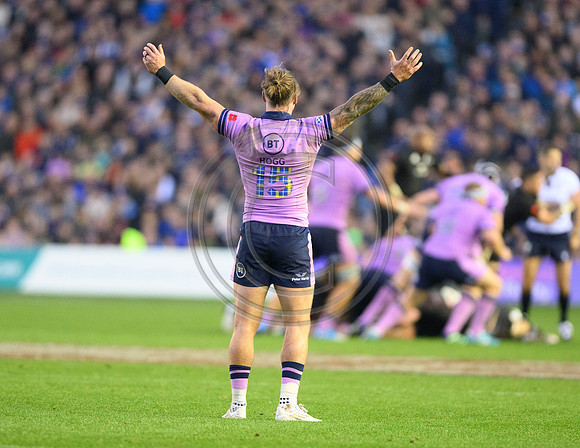 Scotland v New Zealand