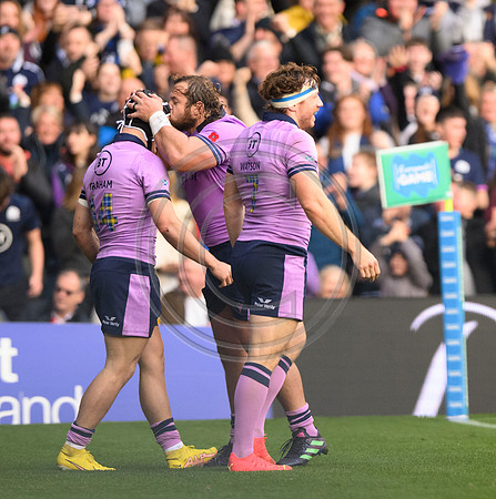 Scotland v New Zealand