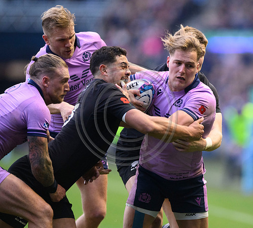 Scotland v New Zealand