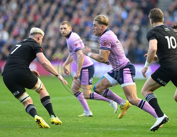 Scotland v New Zealand