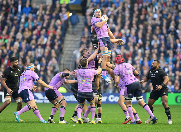 Scotland v New Zealand