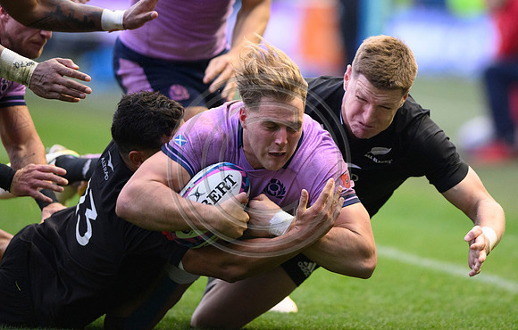 Scotland v New Zealand