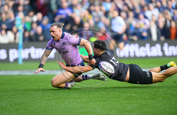Scotland v New Zealand