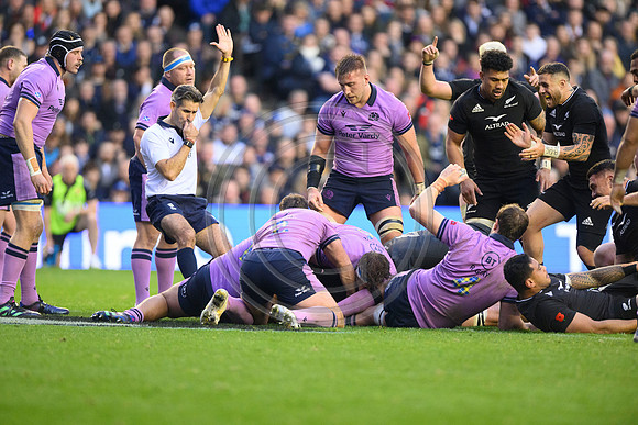 Scotland v New Zealand