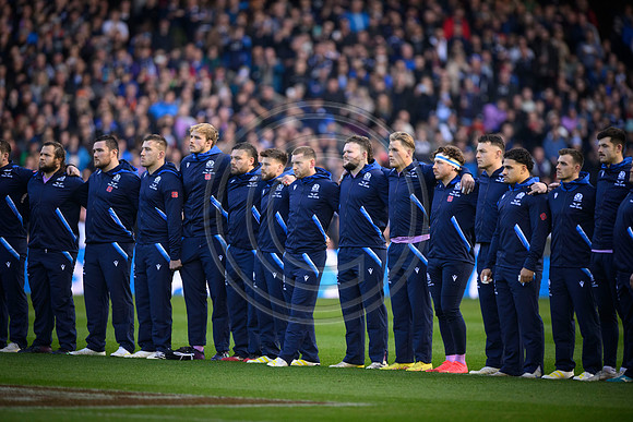 Scotland v New Zealand