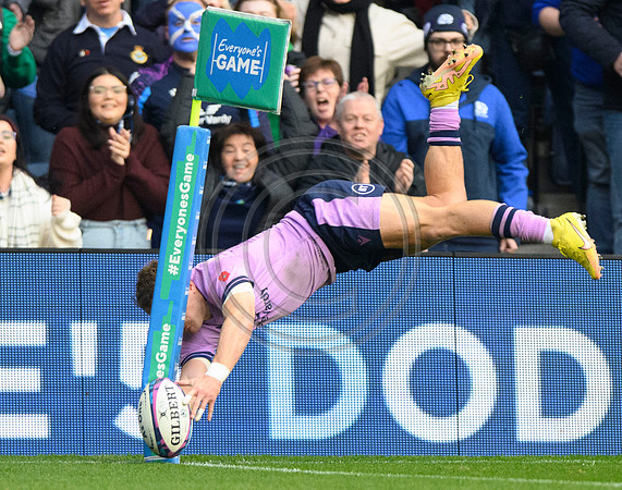 Scotland v New Zealand