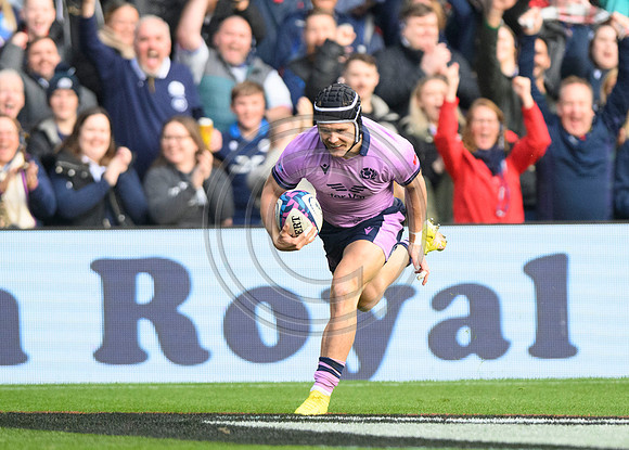 Scotland v New Zealand