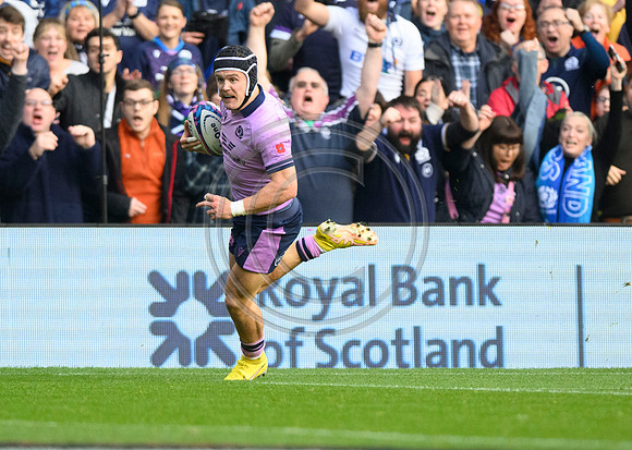 Scotland v New Zealand