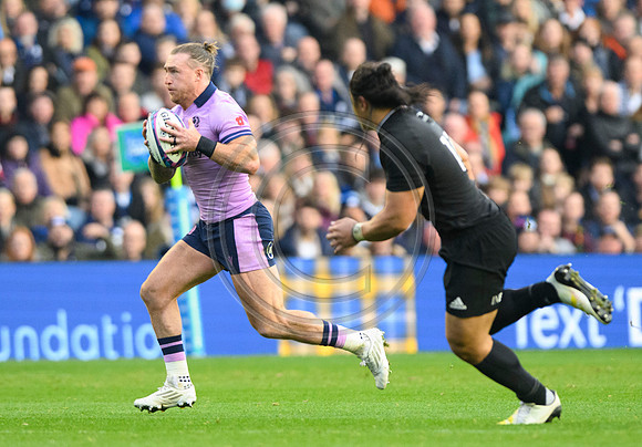 Scotland v New Zealand