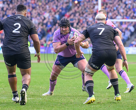 Scotland v New Zealand