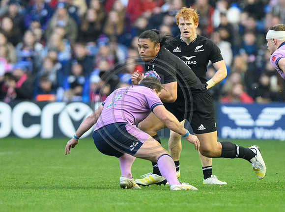 Scotland v New Zealand