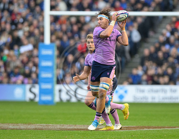 Scotland v New Zealand