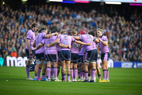 Scotland v New Zealand
