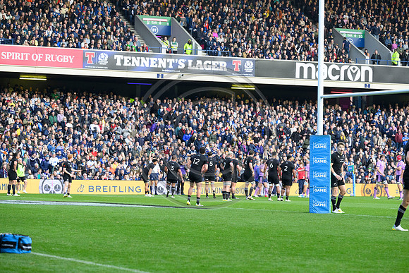 Scotland v New Zealand