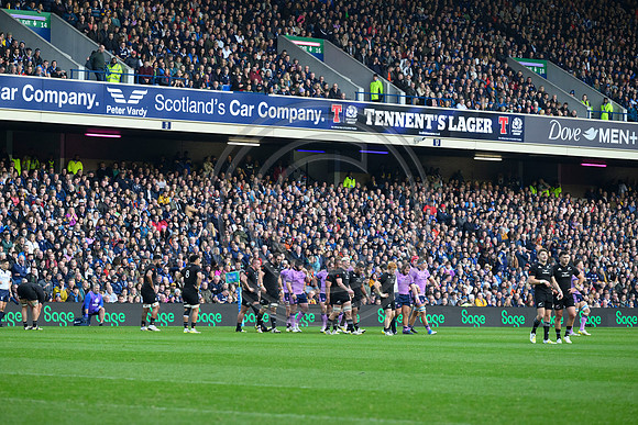 Scotland v New Zealand