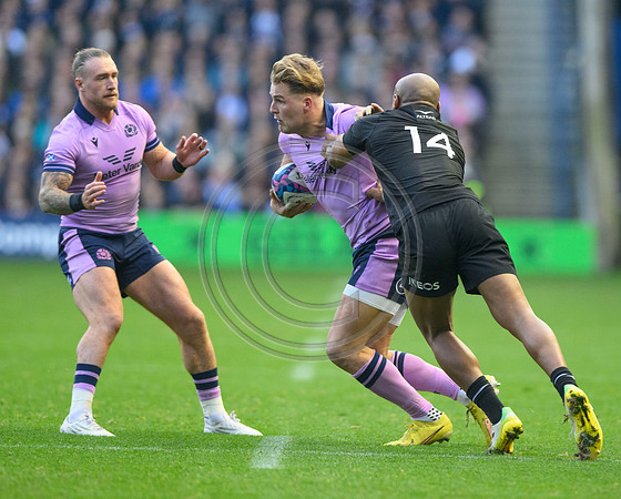 Scotland v New Zealand