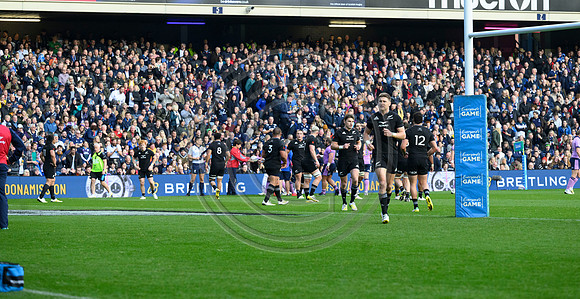 Scotland v New Zealand