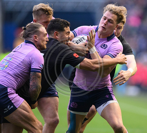 Scotland v New Zealand