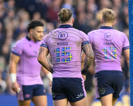 Scotland v New Zealand