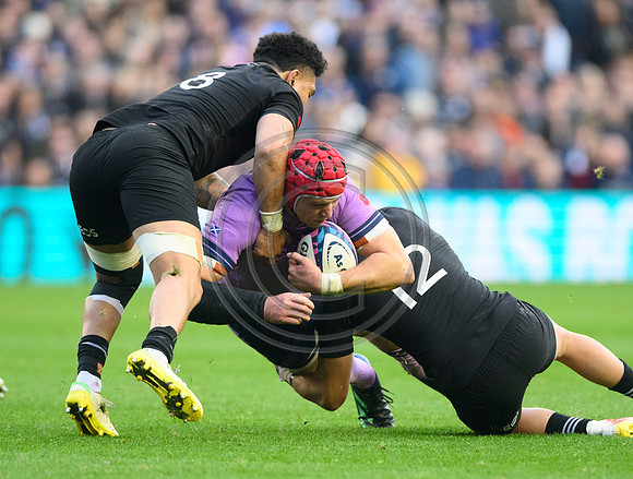 Scotland v New Zealand
