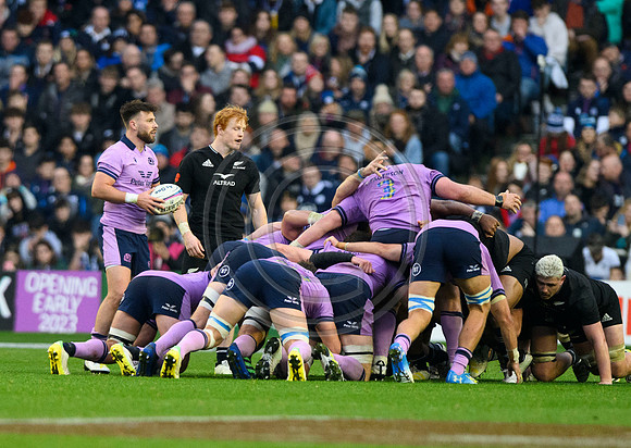 Scotland v New Zealand