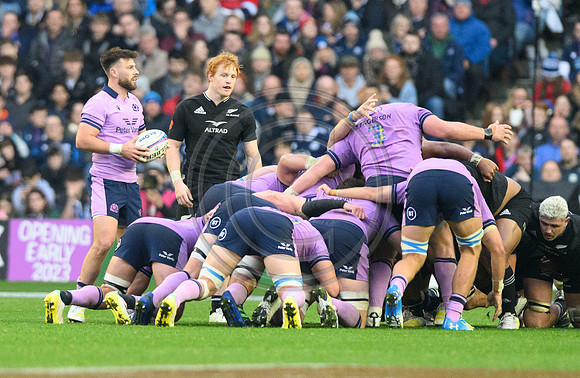 Scotland v New Zealand
