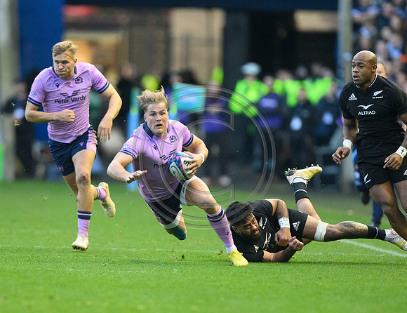 Scotland v New Zealand